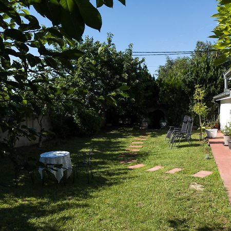 Apartman Dvoristance Golubac Exteriör bild